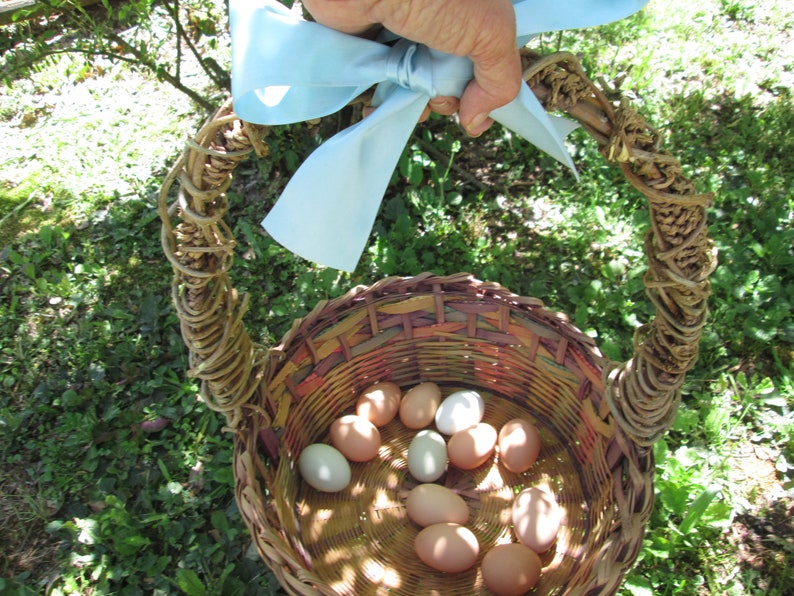 May include: A wicker basket with a blue ribbon handle filled with brown and white eggs.