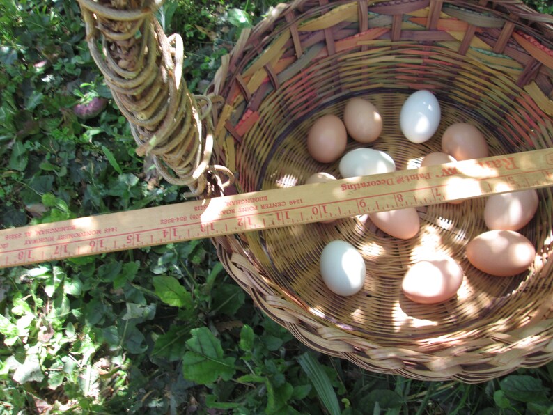Extra Large Easter Basket Woven Wicker W Handle Rainbow Etsy