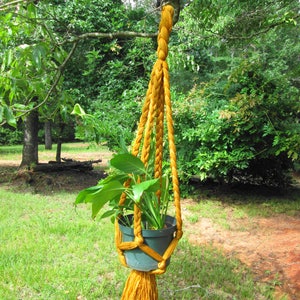 May include: A yellow macrame plant hanger with a green potted plant hanging from a tree branch.