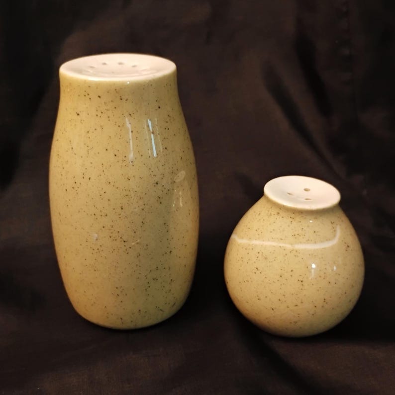 May include: A ceramic salt and pepper shaker set. The salt shaker is tall and cylindrical, while the pepper shaker is round. Both are speckled with dark flecks and have white tops with holes.