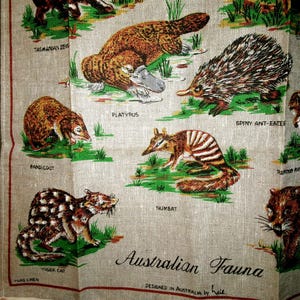 Vintage Australian Fauna Kitchen Towel, Linen Tea Towel designed by Neil, Made in Poland, Animals Platypus, Koala, Gliders, Tasmanian Devil