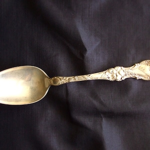 May include: A silver spoon with an ornate handle and a floral design. The handle is engraved with the word "Eldora".