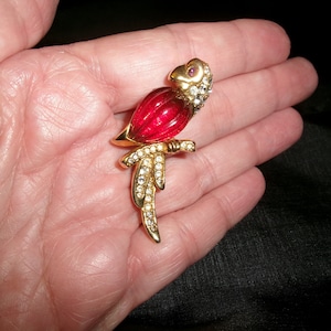 May include: A gold-tone brooch in the shape of a red parrot with clear rhinestone accents. The parrot is perched on a branch.