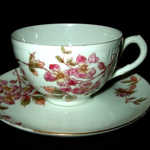 May include: A white teacup and saucer set with a floral pattern of pink and red flowers on a white background.