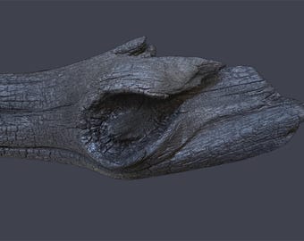 Ceiling lamp deep burnt driftwood Yakisugi style with dimmable dual LED strip Length 185 cm