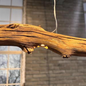 Ceiling lamp driftwood lamp with 5 black built-in LED spotlights branch length 228 cm