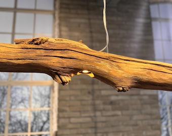 Ceiling lamp Organic lamp with 5 black built-in LED spotlights branch length 228 cm