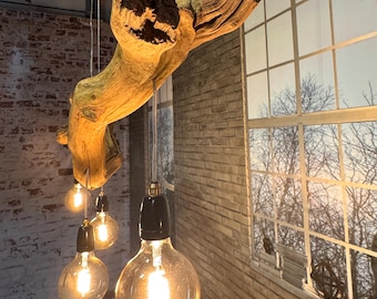 Organic ceiling lamp made from an old oak branch, length 176 cm