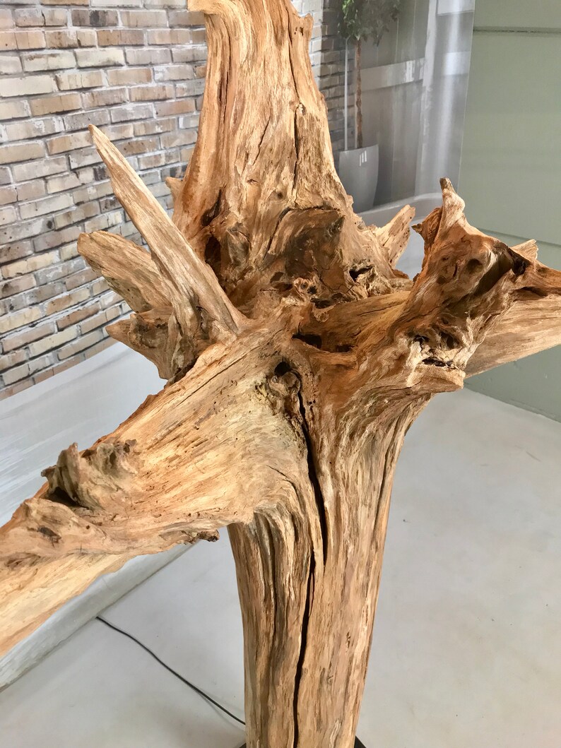 Floor lamp of weathered old tree stump.