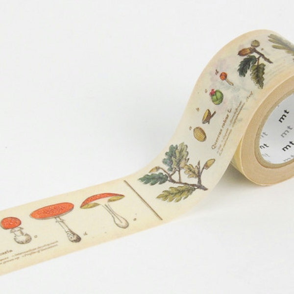 Japanese Washi Tape :  mt ex Zukan (Shokubutsu)