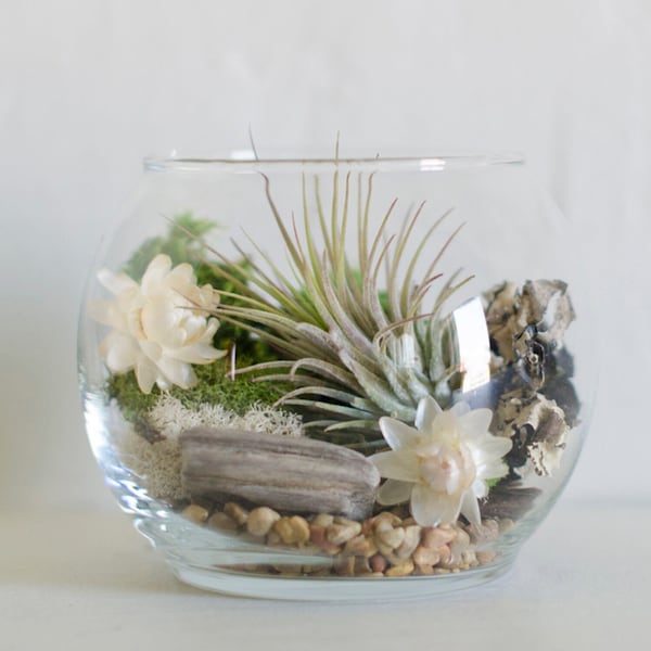 Air Plant Terrarium Kit with Flowers, Woodland Terrarium, Boho Decor, Moss Decor, Woodland Gift, Floral Moss Terrarium, Floral Gifts