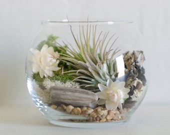 Air Plant Terrarium Kit with Flowers, Woodland Terrarium, Boho Decor, Moss Decor, Woodland Gift, Floral Moss Terrarium, Floral Gifts