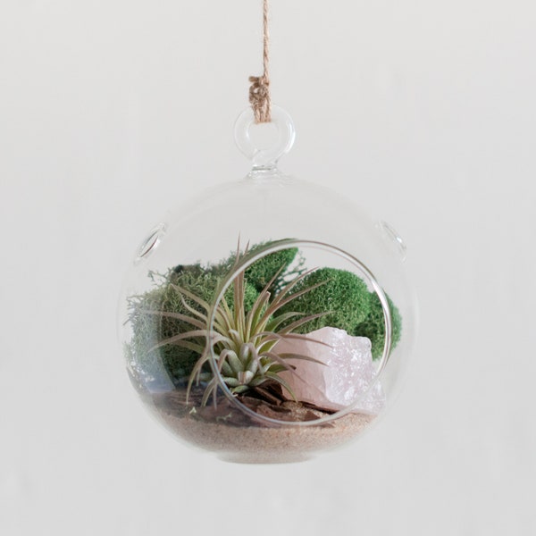 Crystal Terrarium Kit, Air Plant Terrarium Kit, Moss Terrarium, Dorm Decor, College Gift, Gift For Her, Girlfriend Gift, Friend Gift