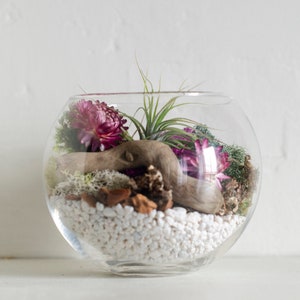 Team Building Kit, Team Building Gifts, Air Plant DIY Terrarium Kit, Natural Decor, Terrarium Decor, Friend Gift, Thank You Gift, Desk Décor