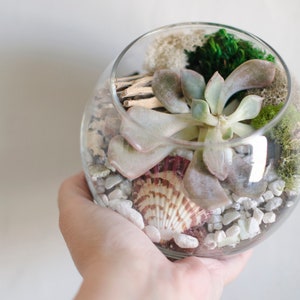 Best Friend Gift, Mom Gift, DIY Terrarium Kit, Succulent Terrarium Kit, DIY Succulent Kit DIY Succulent Gift Succulent Decor Woodland Decor