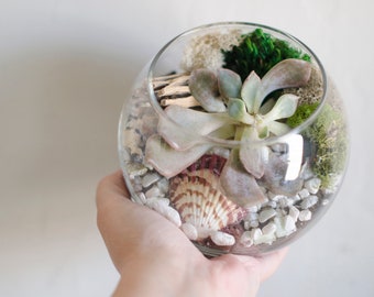 Succulent Terrarium DIY Kit, Glass Bowl, Woodland Decor