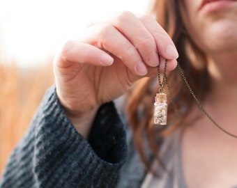 Sea Shell Necklace, Seashell Necklace, Seashell Gifts, Glass Vial Jewelry, Gift for Her, Best Friend Gift, Coworker Gift, Beach Lovers Gift