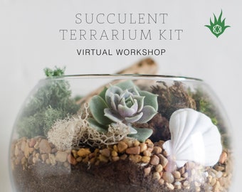 Succulent Terrarium Kit + Succulent Plant Terrarium Workshop Online Class | Virtual Workshop, DIY Terrarium Kit Succulent Gift Box DIY Plant