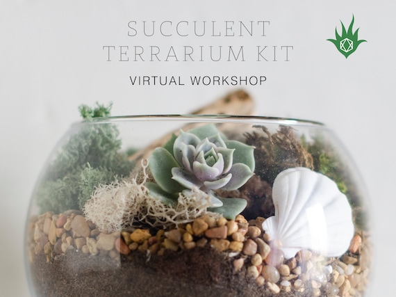 Succulent Workshop