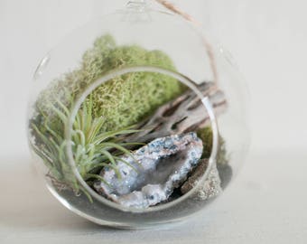 Crystal Air Plant Terrarium, Crystal Terrarium,  Air Plant Terrarium, Dorm Decor, Natural Decor, Boho Decor, Gift for Him, Boyfriend Gift