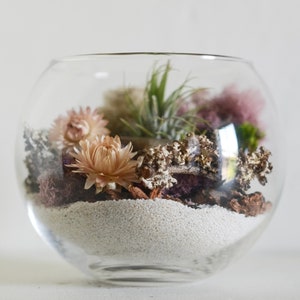 A glass bowl terrarium with an airplant tillandsia plant, pink flowers, green mosses, lichens, bark, driftwood, and white mineral sand. DIY Terrarium Kit.