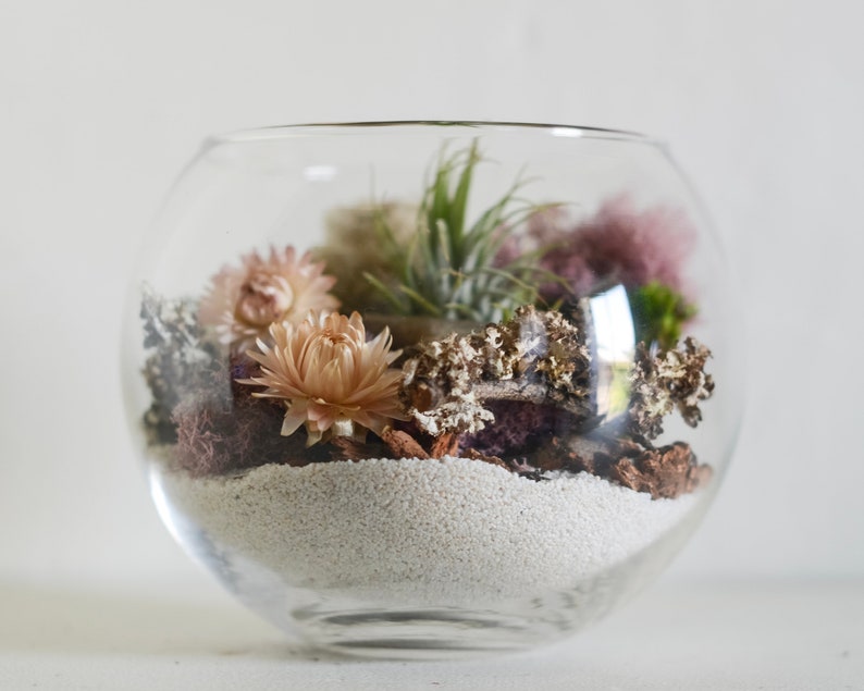 A glass bowl terrarium with an airplant tillandsia plant, pink flowers, green mosses, lichens, bark, driftwood, and white mineral sand. DIY Terrarium Kit.