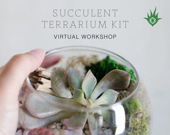Succulent Terrarium Kit + Succulent Plant Terrarium Workshop Online Class | Virtual Workshop DIY Terrarium Kit Succulent Gift Team Building