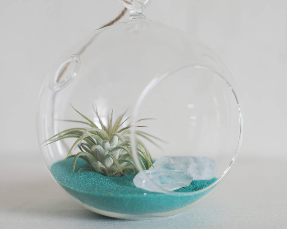 Hanging Terrarium Globe Hanging Terrarium Kit Glass Globe Etsy
