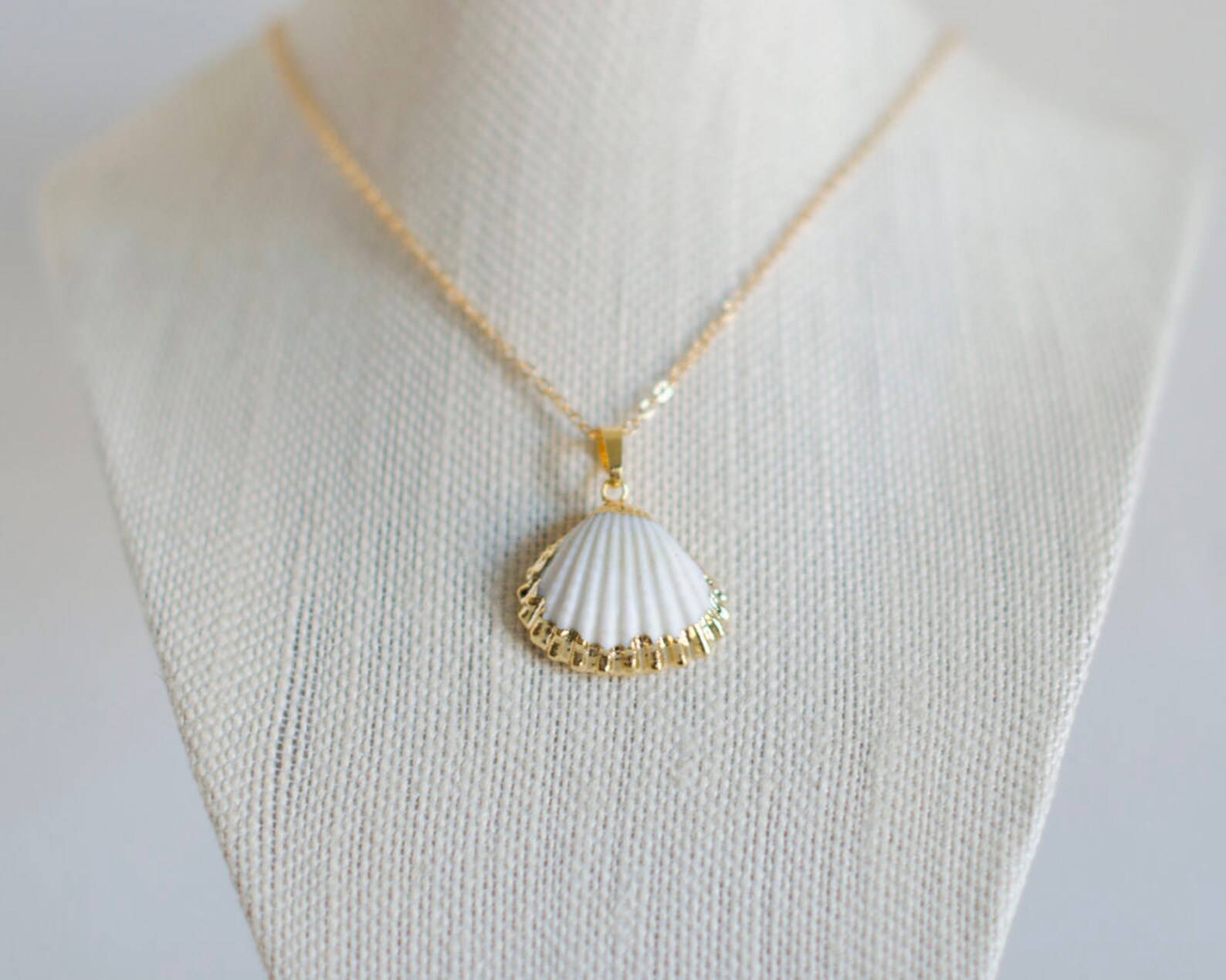 Real Scallop Shell Necklace Scallop Shell Jewelry Seashell Etsy
