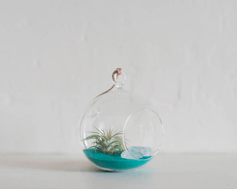 Hanging Terrarium Globe Hanging Terrarium Kit Glass Globe Etsy