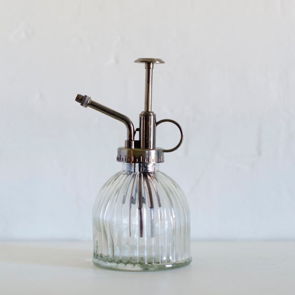 Glass Air Plant Mister, Air Plant Sprayer, Air Plant Spray Bottle, Plant Spritzer, Watering Can, Modern Plant Decor, Plant Lover Gift