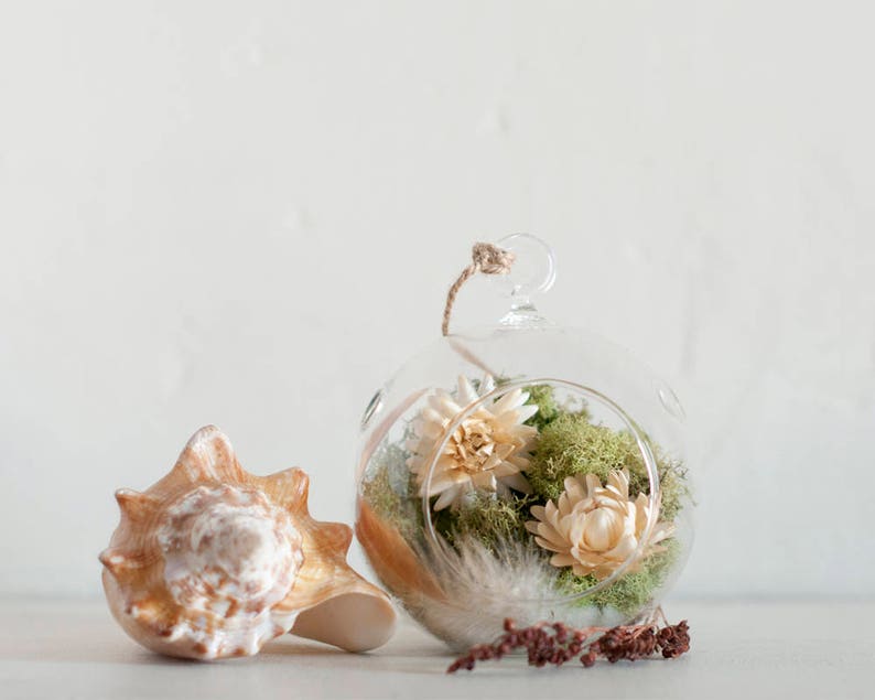 Wedding Party Favors Woodland Decor Woodland Baby Shower Nature Decorations Shower Decorations Flower Glass Globe Terrarium Kit