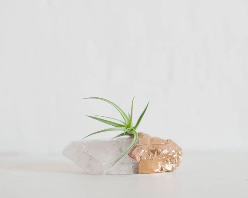 Air Plant Terrarium Quartz Crystal Desk Accessories Etsy