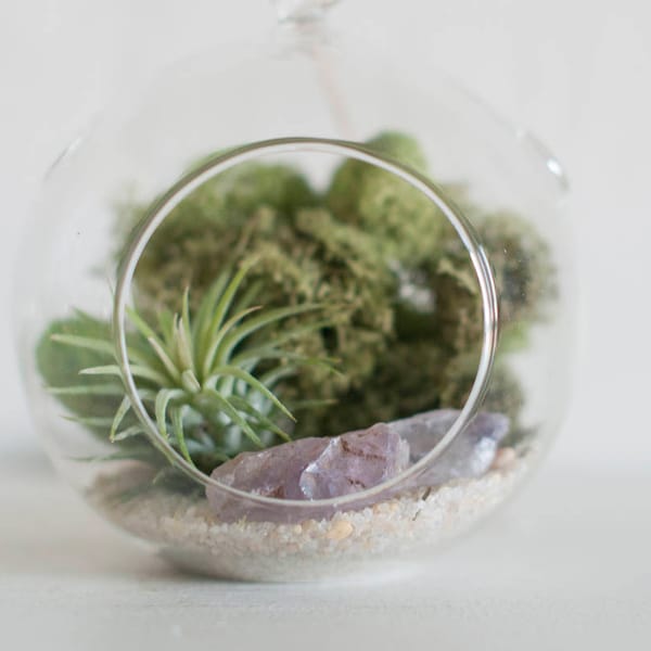 Air Plant Hanging Terrarium, Hanging Terrarium Kit, Air Plant Terrarium, Amethyst Terrarium, Gift For Mom, Birthday Gift, Best Friend Gift