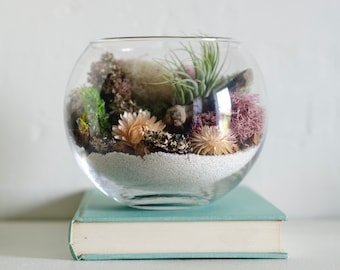 May include: A clear glass terrarium with a variety of plants and decorative elements. The terrarium contains a layer of white sand, dried flowers, moss, and air plants. The terrarium is sitting on top of a light blue book.
