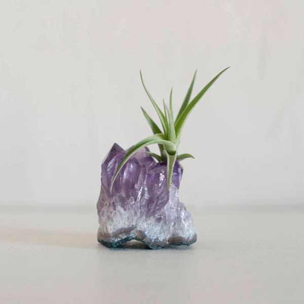 Small Amethyst Crystal Terrarium, Air Plant Crystal Garden, Office Desk Accessories Mini Plants, Coworker Gift, Boho Decor, Best Friend Gift
