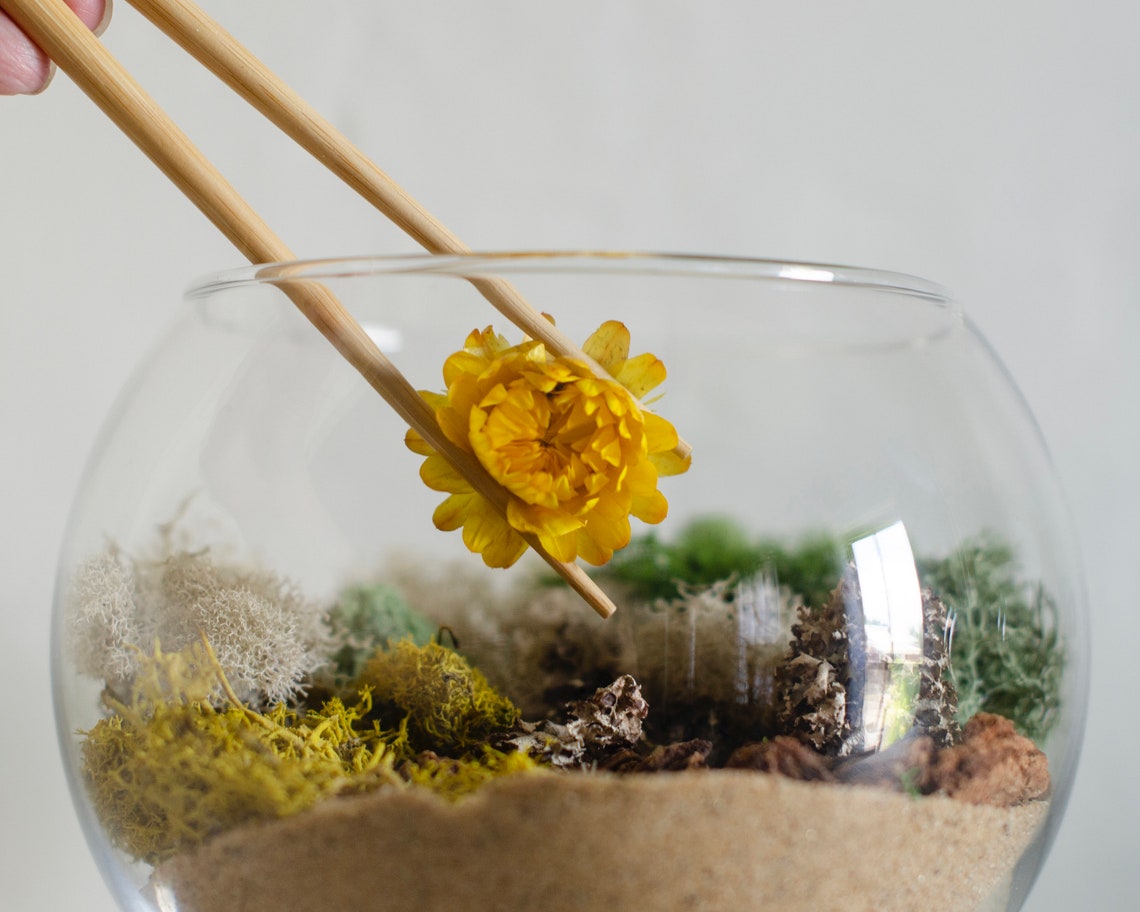 DIY Terrarium Kit Air Plant Terrarium Kit Terrarium Building Etsy