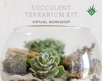 Succulent Terrarium Kit + Succulent Plant Terrarium Workshop Online Class | Virtual Workshop DIY Terrarium Kit Best Friend Gift DIY Gift Kit