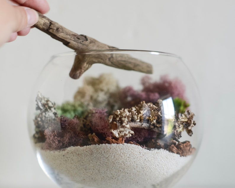 DIY Terrarium Kit, DIY Terrarium, Team Bulding Kit, Air Plant Terrarium Kit, Gift For Mom, Birthday Gift, Girlfriend Gift Natural Home Decor image 3