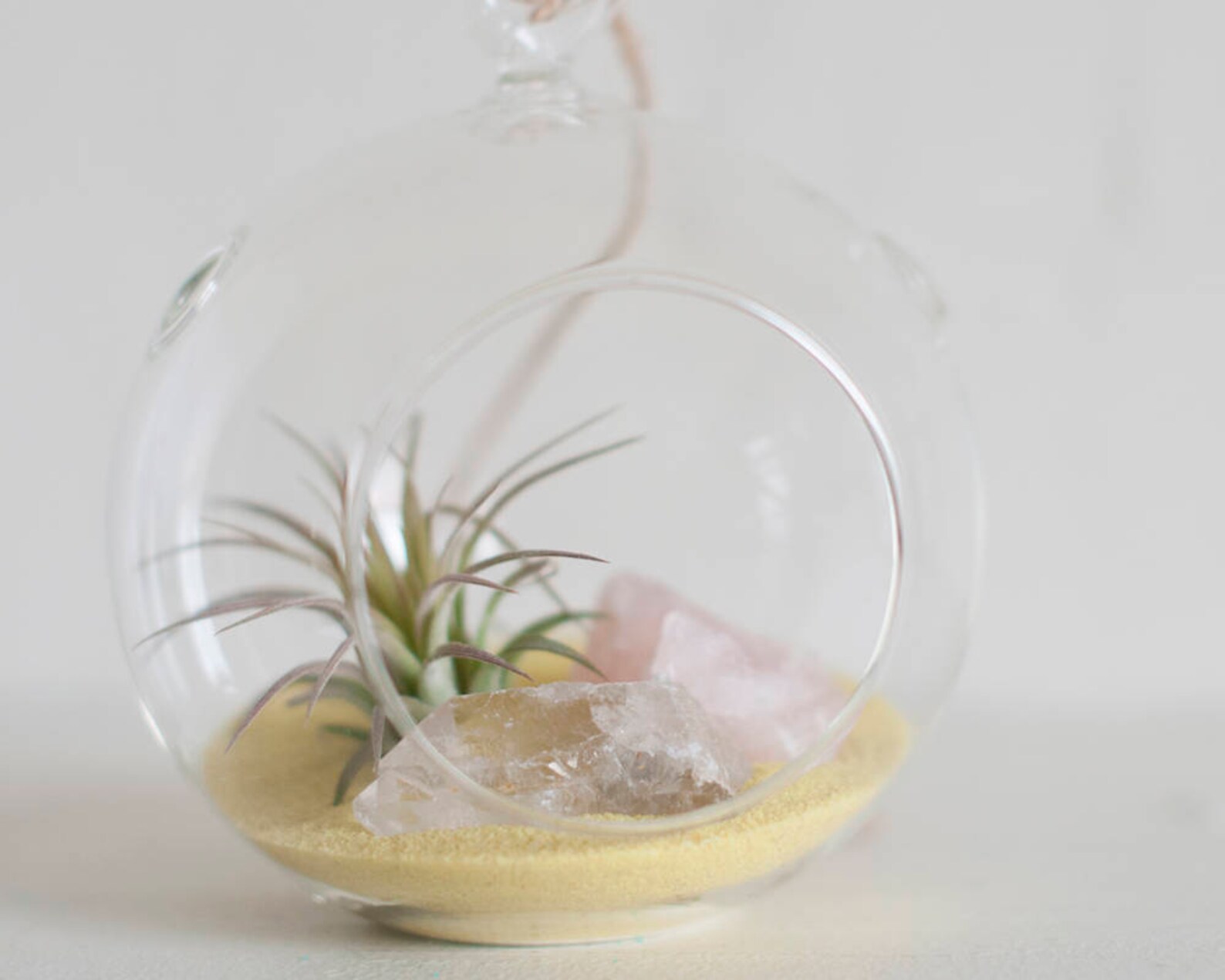 Air Plant Terrarium Kit DIY Terrarium Kit Crystal Terrarium Etsy