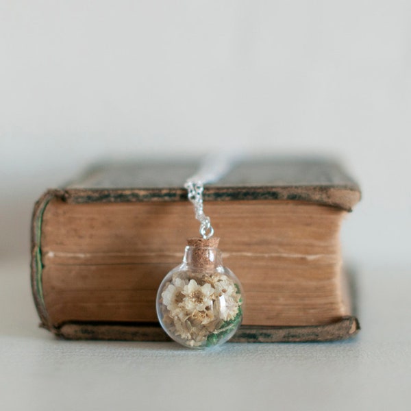 Terrarium Jewelry Etsy