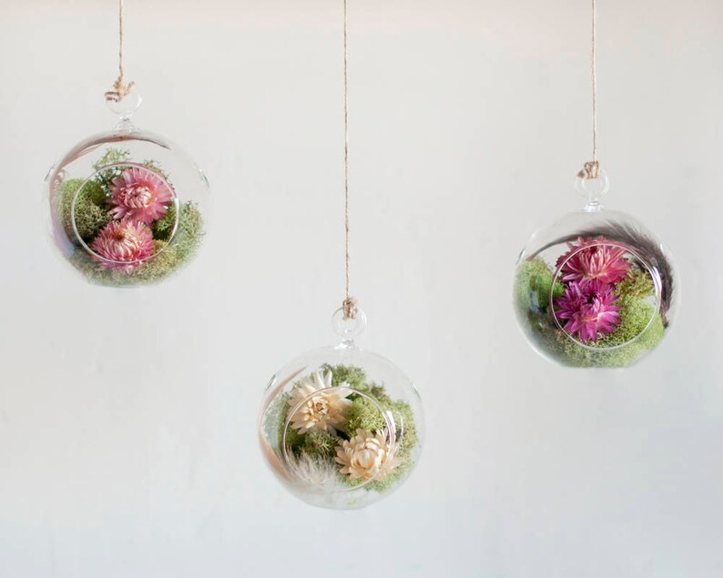 Wedding Party Favors Woodland Decor Woodland Baby Shower Nature Decorations Shower Decorations Flower Glass Globe Terrarium Kit