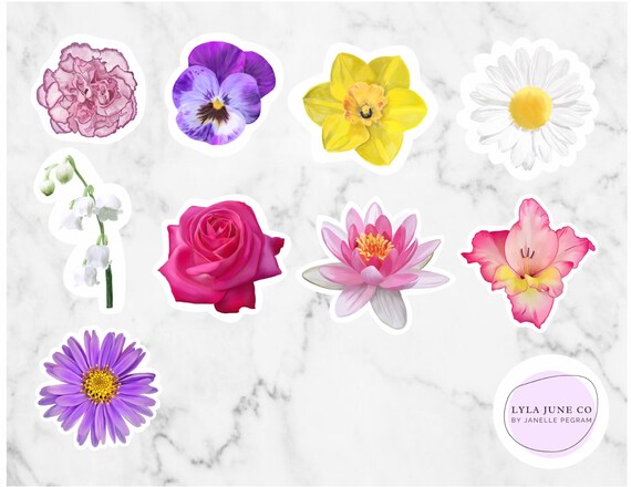 Birth Flower Vinyl Stickers Carnation January Violet Etsy Birth Flower Vinyl Stickers Carnation January Violet Etsy