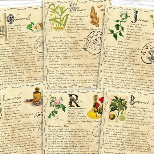Basic Witchcraft Grimoire Printable Pages Book of Shadows - Etsy