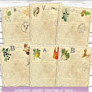 May include: Printable cards featuring illustrations of various herbs and their magical correspondences. Each card includes the herb's name, planet, element, deities, gender, magical uses, and other names. The cards are designed in a vintage style with handwritten text and botanical illustrations.