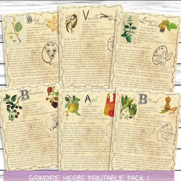 Basic Witchcraft Grimoire Printable Pages, Book of Shadows Pages, Herbs Pack 1, Herbal Reference Pages, BOS, Herbs Printable Set