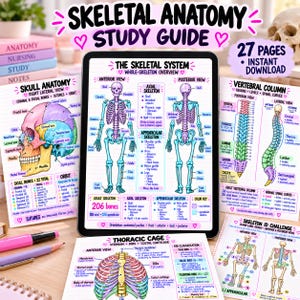 Peut inclure: Une tablette numérique affichant un guide d'étude sur l'anatomie squelettique avec des vues antérieure et postérieure du squelette humain, entourée de pages imprimées détaillant l'anatomie du crâne, la colonne vertébrale et la cage thoracique.
