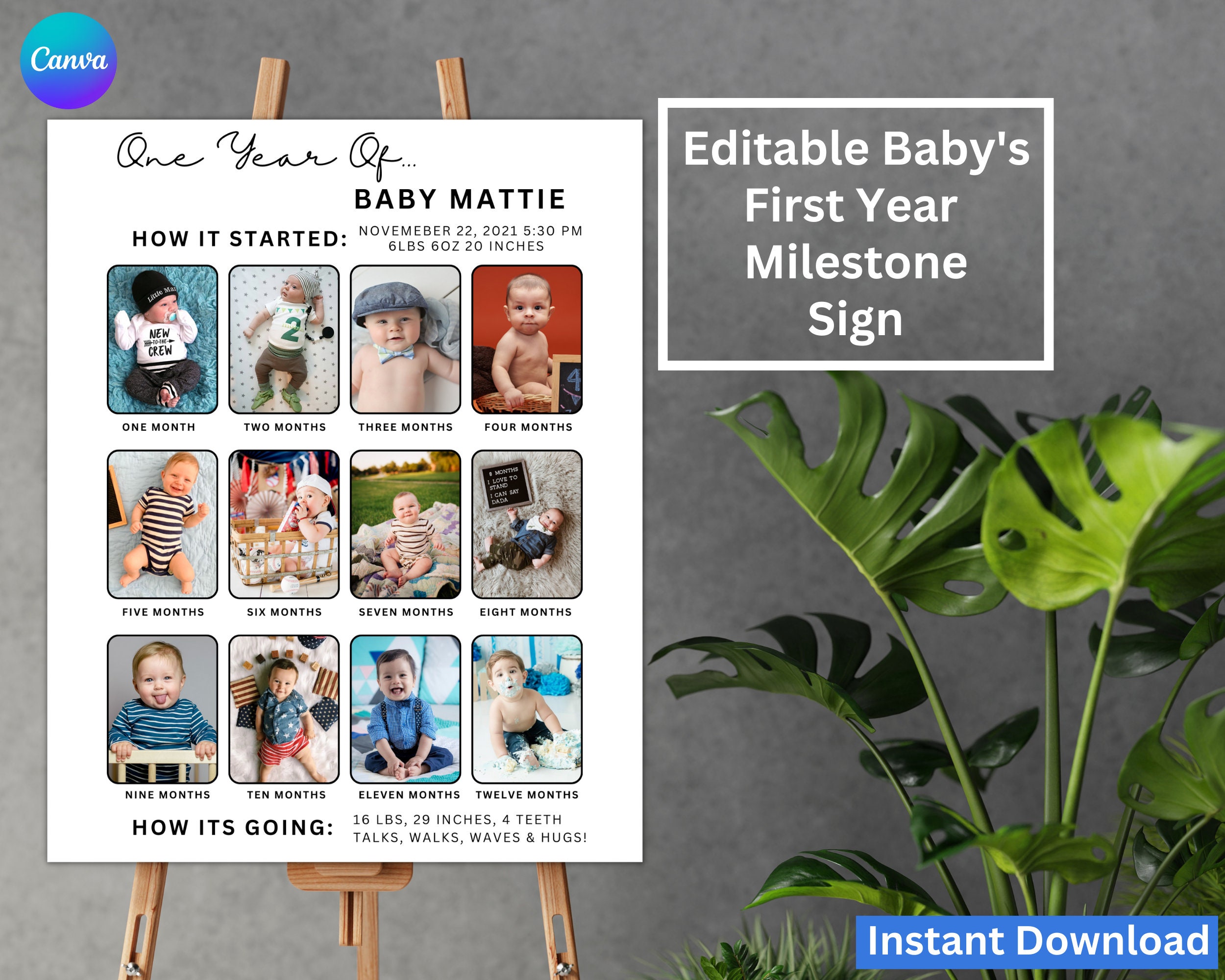 Editable Printable Baby's First Year Poster Template | Modern 1st ...