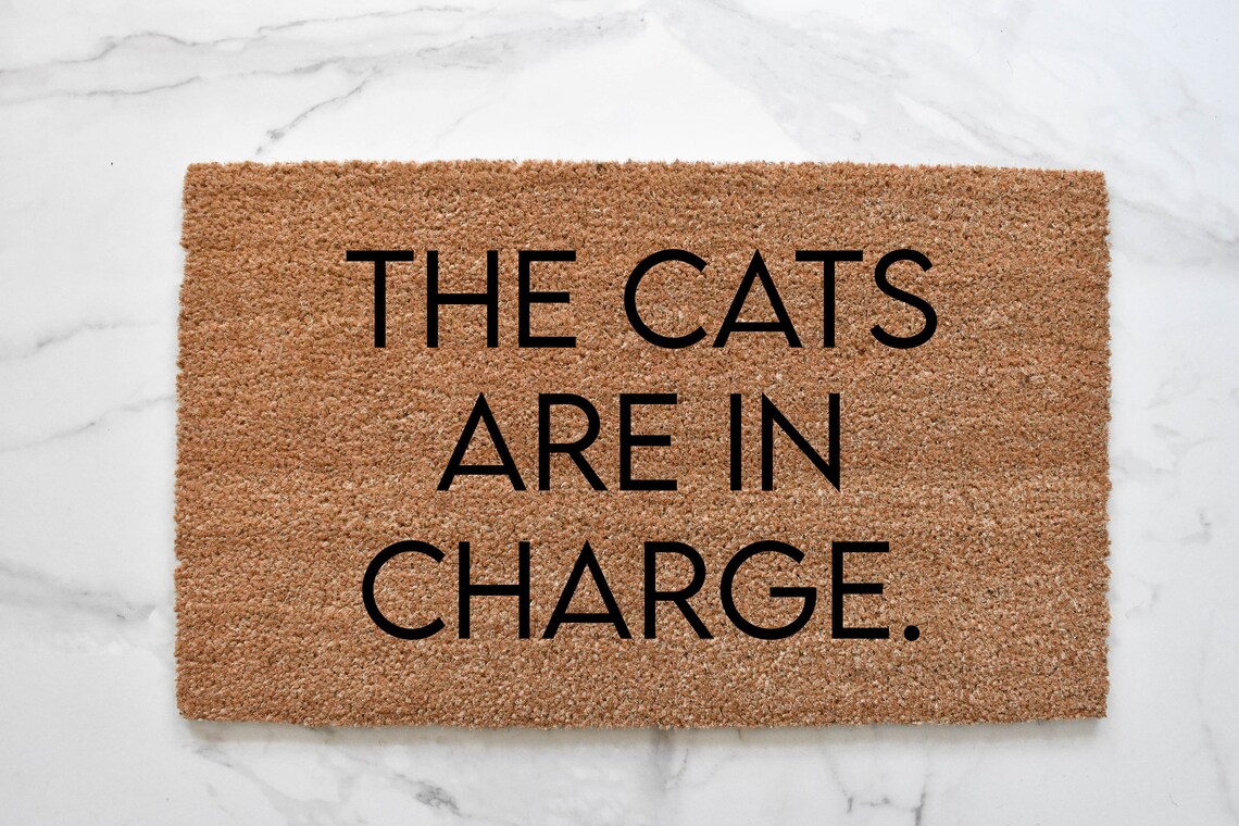 Cat Doormat Funny Doormat Outdoor Rug Cat Lover Front Door Etsy