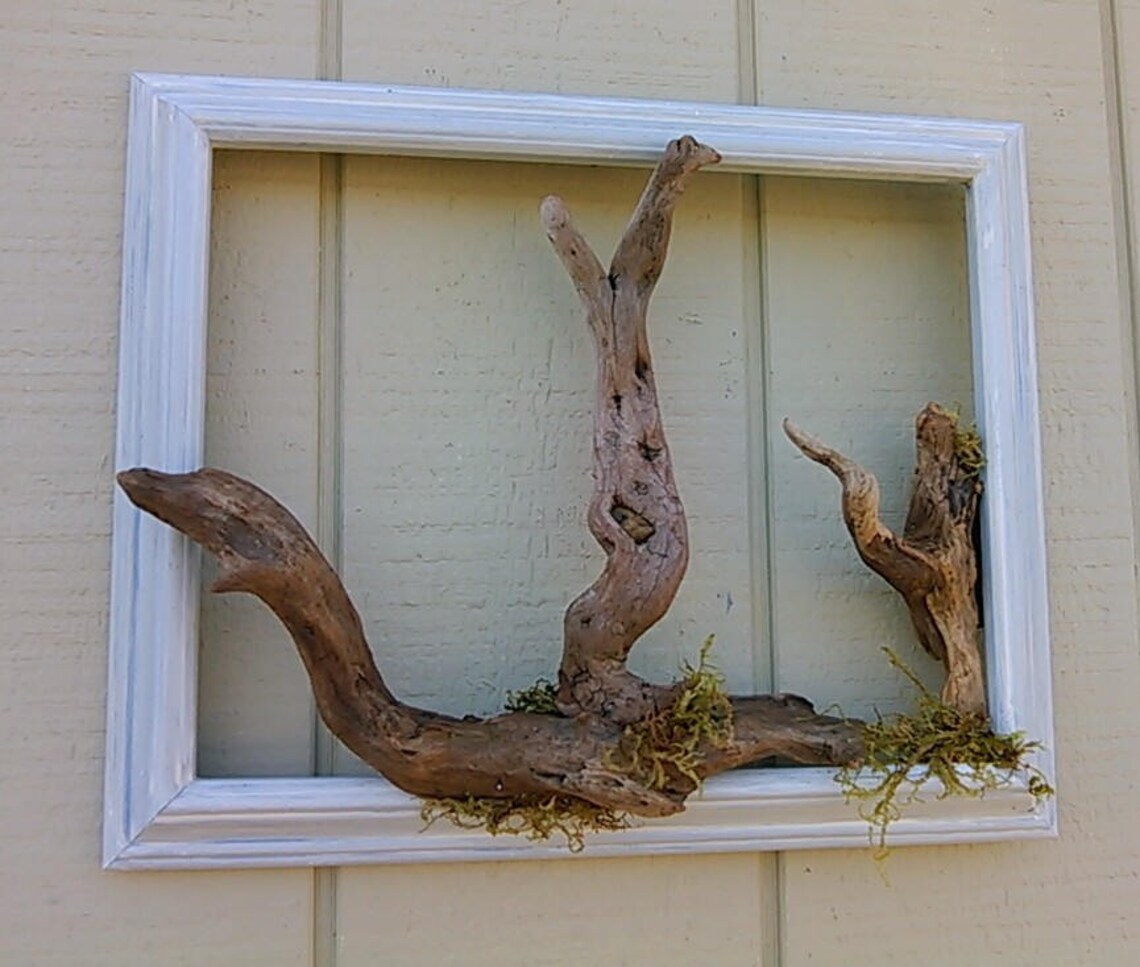 Driftwood Tree Frame Coastal Wall Art Unique Natural Wood Wall | Etsy